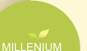 Millenium massage
